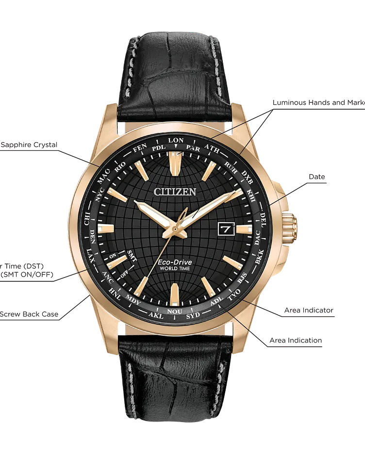Citizen World Time Perpetual Eco-Drive Black Dial Watch | CITIZEN Citizen World Time Perpetual Eco-Drive Black Dial Watch | CITIZEN